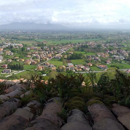 Rupe Antica Bed & Breakfast Artena Dış mekan fotoğraf