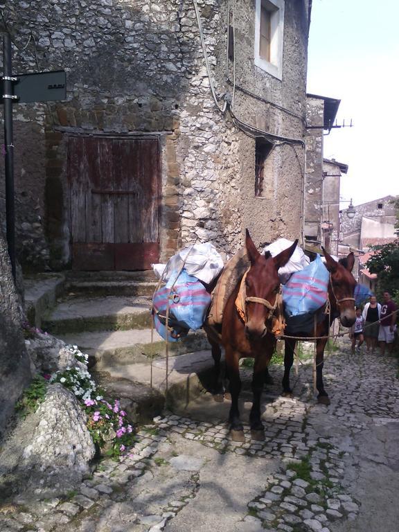 Rupe Antica Bed & Breakfast Artena Dış mekan fotoğraf