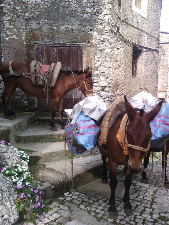 Rupe Antica Bed & Breakfast Artena Dış mekan fotoğraf