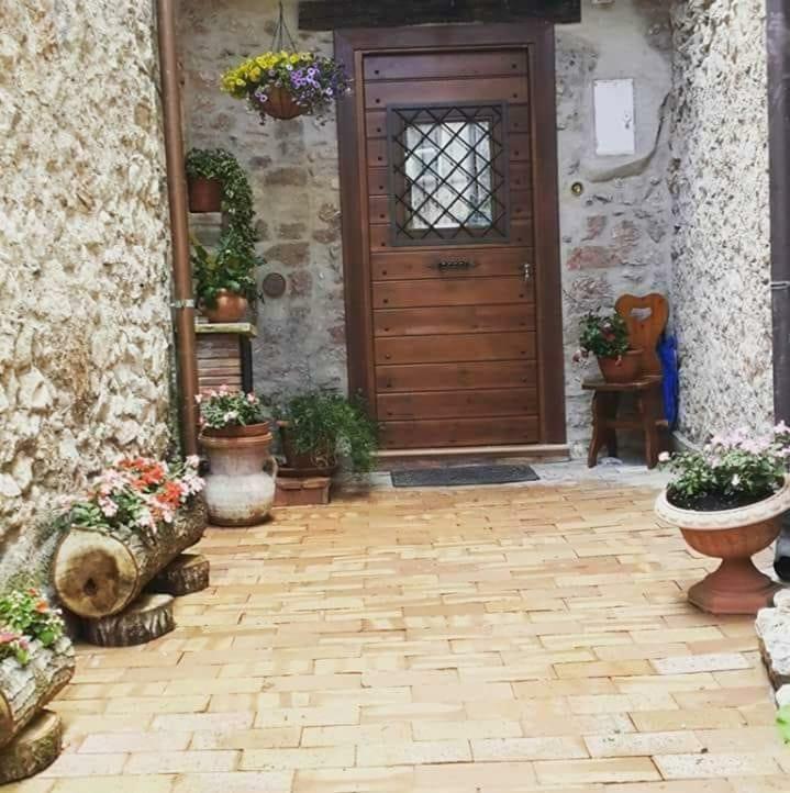 Rupe Antica Bed & Breakfast Artena Dış mekan fotoğraf