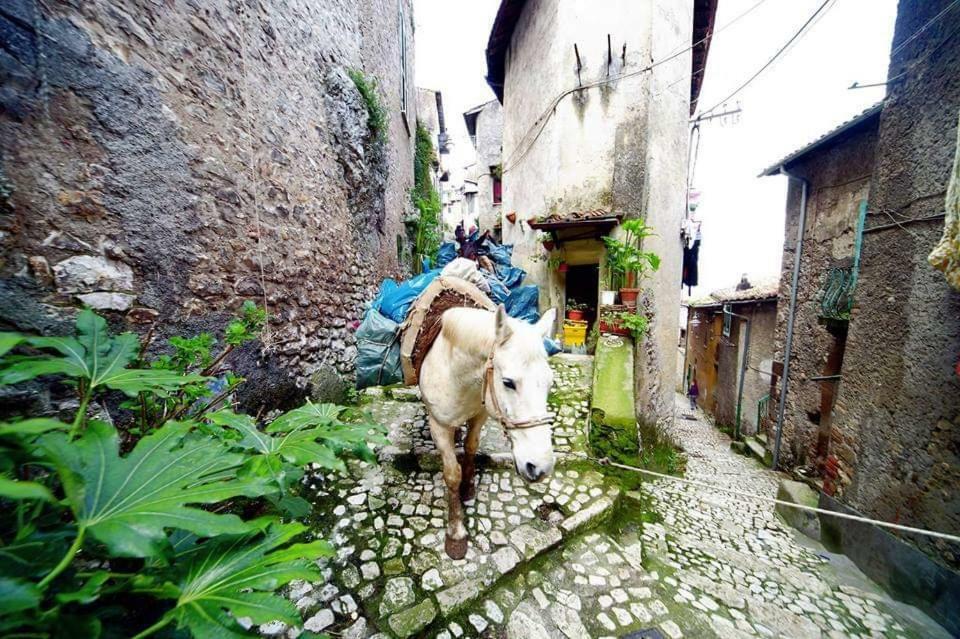 Rupe Antica Bed & Breakfast Artena Dış mekan fotoğraf