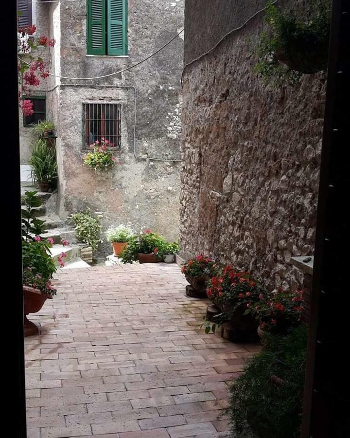 Rupe Antica Bed & Breakfast Artena Dış mekan fotoğraf