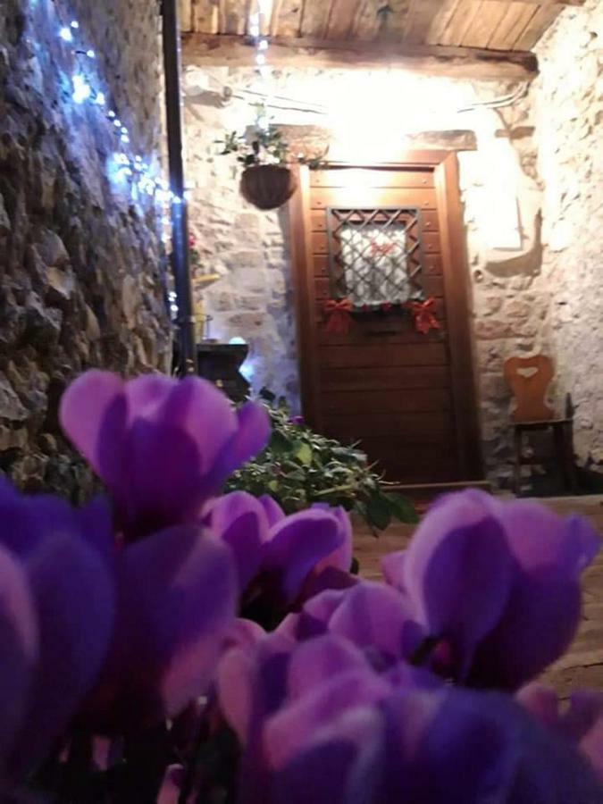 Rupe Antica Bed & Breakfast Artena Dış mekan fotoğraf